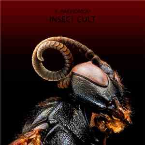 S.Pakhomov - Insect Cult