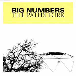 Big Numbers - The Paths Fork
