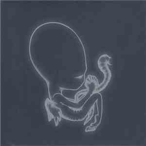 Sigur Rós - Ágætis Byrjun