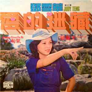邓雪华 - 爱的迷藏 第三集