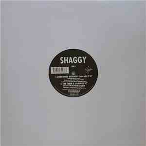 Shaggy - Something Different