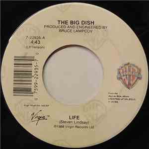 The Big Dish - Life