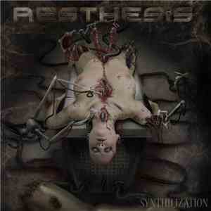 Aesthesis - Synthilization