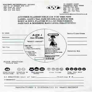 Alex J Feat Jazz Brazillia - What I Want