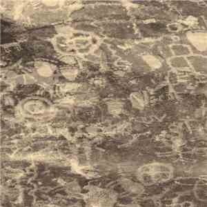 Celer - How Could You Believe Me When I Said I Loved You When You Know I've ...