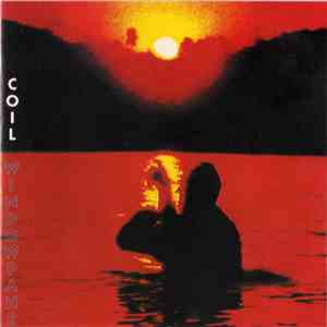 Coil - Windowpane