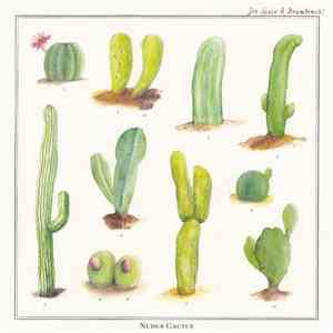 Joe Space & Drumtomski - Nudus Cactus