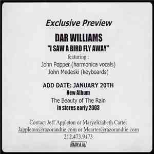 Dar Williams - I Saw A Bird Fly Away