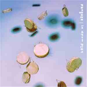 Pangaea - In Drum Play