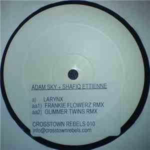Adam Sky + Shafiq Ettienne - Larynx