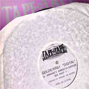 Goldie - Digital (Armand's Gangsta-Garage Mix)