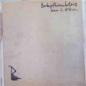 Babyshambles - Down In Albion (Clean Album Sampler)