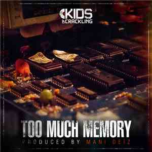 Mani Deïz - Too Much Memory