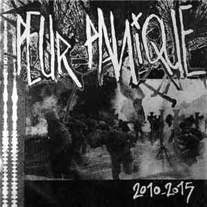 Peur Panique - 2010-2015