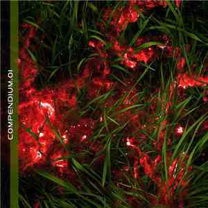 Various - Compendium.01