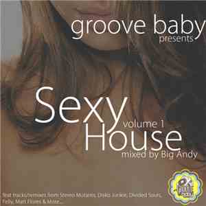 Various - Groove Baby Presents Sexy House Volume 1