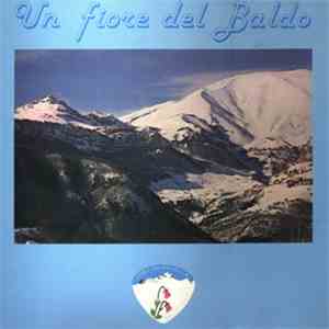 Coro Soldanella Brentonico - Un Fiore Del Baldo