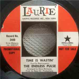 Endless Pulse - Time Is Wastin'