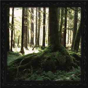 Novemthree - Renewing