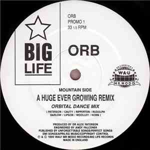 Orb - A Huge Ever Growing Remix