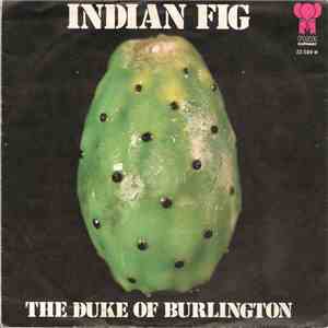 The Duke Of Burlington - Indian Fig