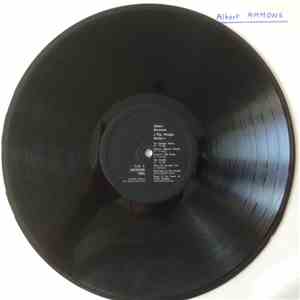 Albert Ammons - The Boogie Rocks