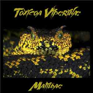 Toxicoa Viperinæ - Matildae