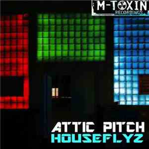 HouseFlyz - Attic Pitch