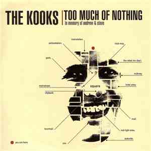 The Kooks  - Too Much Of Nothing
