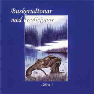 Various - Buskerudtonar Med Tradisjonar Volum 3