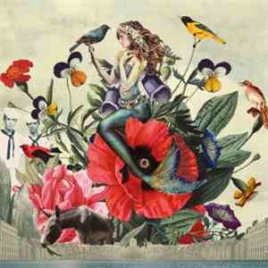 Janne Schra & Noordpool Orkest - Vasalis
