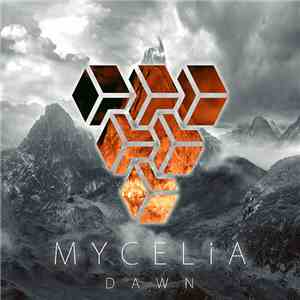 Mycelia - Dawn