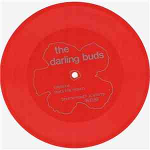 The Darling Buds - Live At Bournemouth Academy 18.10.88
