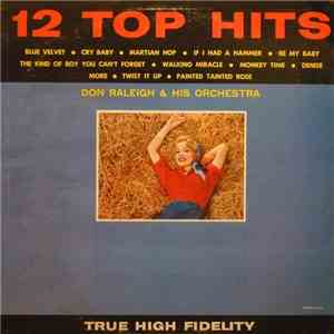 Don Raleigh & His Orchestra - 12 Top Hits