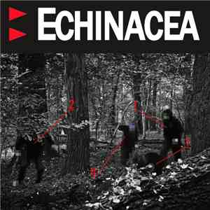 Echinacea - Echinacea