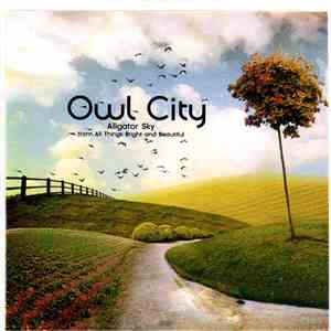 Owl City - Alligator Sky