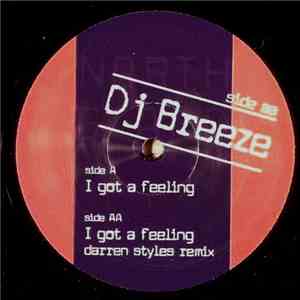 DJ Breeze - I Got A Feeling (Remixes)