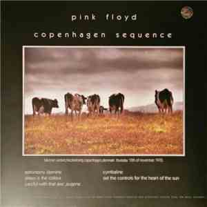 Pink Floyd - Copenhagen Sequence