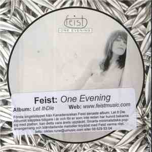 Feist - One Evening