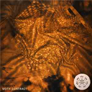Nobody™ - Moth Contract