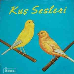 Kuş Sesleri - Kanarya Sesi