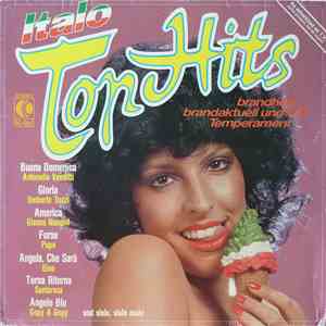 Various - Italo Top Hits