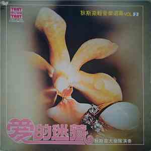 狄斯奈大樂隊 - 狄斯奈輕音樂選集 Vol.2 愛的迷藏