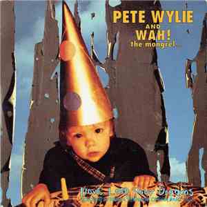 Pete Wylie & Wah! The Mongrel... - Don't Lose Your Dreams
