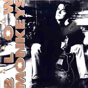 The Blow Monkeys - Some Kind Of Wonderful