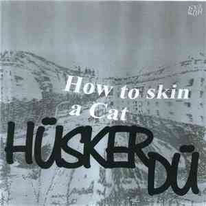 Hüsker Dü - How To Skin A Cat