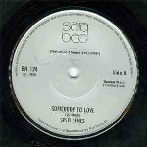 Split Genes - Somebody To Love