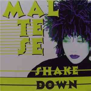 Maltese  - Shake Down