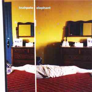 Tnahpele - Elephant