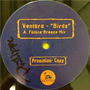Ventura - Birds